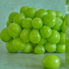 산지직송샤인머스켓1kg