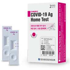 여름에하는키트