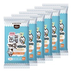 페스룸이어클리너