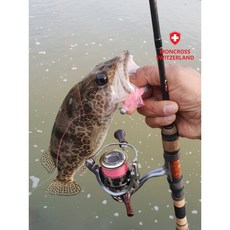 스노우플라스터