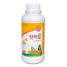 사과탄저병