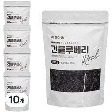 상큼한 자연다움 건블루베리 100g 10개, ONE COLOR, 100G 10개
