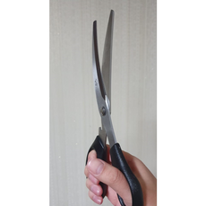 생선굽는것