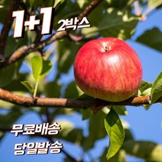 a9618b89a7dba9886551acb0dfe9e9daf6c22b9d80dd94622552d2e4fd43.jpg