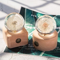 철가루크리스마스스노우볼