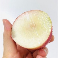  산지직송 발송되는 달달한 신비복숭아 1kg 천도 백도 황도 신선 달달한, 1개 