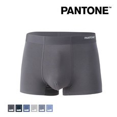 pantone드로즈