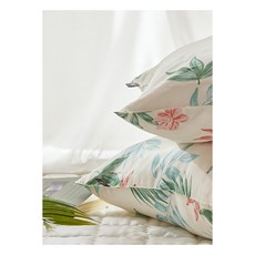 아르페지오베개커버