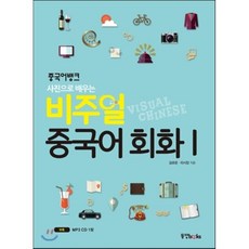 비주얼어시스트