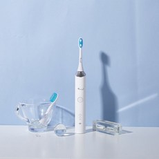 덴탈픽전동칫솔