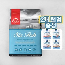 오리젠캣앤키튼5.4