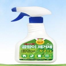 방바닥벽지경계