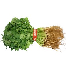 (신선) 고수 향채 coriander 1단 약300g 국내산, 단일상품