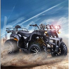 대형 atv 250cc 사륜 오토바이 사발이 4륜 바이크, 자동 기어 샤프트