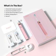소닉월