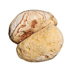 테라리움과 수족관을 위한 천연 돌, 1개