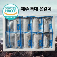 김현숙제주은갈치