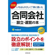 도해 가장 부드럽게 정성스럽게 쓴 합동 회사 설립 · 운영의 책, 단일옵션, 단일옵션