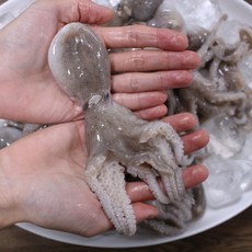 [감별] 서천 자연산 생물 쭈꾸미 1kg