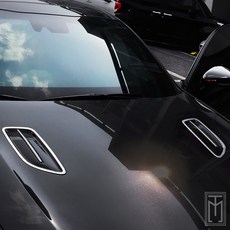 스팅어카본본넷