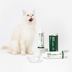 브리지테일 페토덴트 바이옴 덴탈워터 포 캣 고양이 마시는 치약, 2개, 250ml
