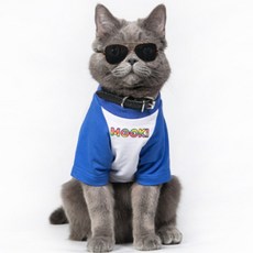 미주컴퍼니 강아지 고양이 선글라스 안경 눈보호 도글라스 냥글라스, 2개, 투명
