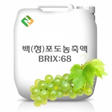 백(청)포도농축액 25kg