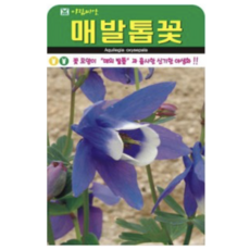 보람농자재 매발톱 씨앗 [500립 5000립], 500립