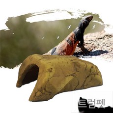 레진 건조대 조경수궁 바위뱀 대피소 도마뱀 파충대 대피, 작다