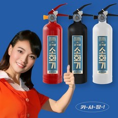 카사장 차량용소화기 자동차겸용 전기차 소화기 ABC 분말 0.7kg, 1개, 포니 레드