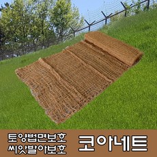 코아네트