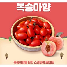 스위프리샤인마토