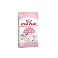  로얄캐닌 고양이 사료 베이비캣 10kg 건식사료, 1개 