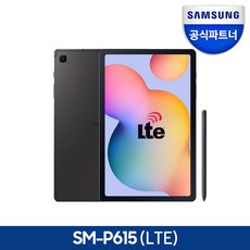 삼성전자 갤럭시탭 S6 Lite SM-P615, 옥스포드 그레이, 64GB, LTE