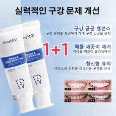 1+1 니코틴산아미드 미백 치약 셀프 치아미백제 천연 치아미백제 100g, 100g/개*2