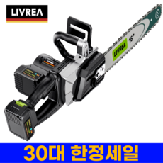 LIVREA 독일기술 전기톱 고출력 무선 충전식 세트 소형 미니 체인 날 전동, 16인치 전기톱+대용량배터리, 4개