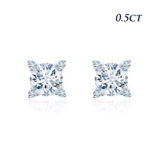 97c511065be80831daf2828e9fb4e781048dcc5b40c38f6e57fc61e2b3c8.jpg