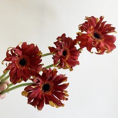 e97c30fb40550d7cbe068cc3bffa52461d89448acfc7a369713324e894f7.jpg