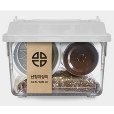 농사템 국산 산청 지렁이 관찰 키트 비바리움, 지렁이+케이스+흙+먹이, 1개