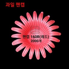 자체브랜드 과일 팬캡 160R(2000개)사과 배 과일포장 띠지스티커, 160R(2000개)