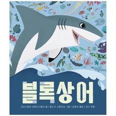 보림블록