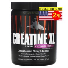 Universal Nutrition 유니버설 뉴트리션 크레아틴 XL 파우더 후루츠 수박 맛 Creatine Powder, 279g, 2개