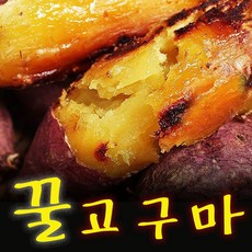 [청년농부] 해남 꿀고구마 3kg 5kg 10kg 베니하루카 햇고구마 밤고구마 호박고구마 군고구마 한입 중상 특상, 꿀고구마 (중상/중간사이즈) 10kg