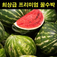 무등산수박직판장