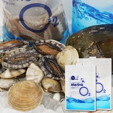 (예담)산소 싱싱팩 2KG(27x40)대사이즈 산소팩 어패류 택배용 해산물 오투산소팩 생물, 1set, 100개입