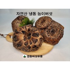자연산 냉동 능이버섯 1kg / 경동버섯유통, A
