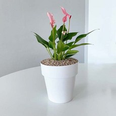 700818acaf7408a7c6a0d2230da982e9c80da8f175dc9824167ec4ccf88e.jpg