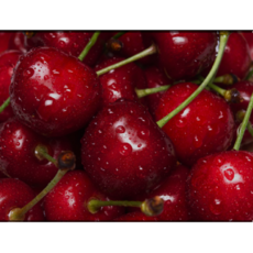 칠레산 생 체리 특대, 1박스, 9.5R (특대) 2kg