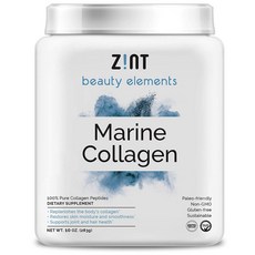 Zint 가수 마린 콜라겐 파우더 (10oz) 안티 일본 콜라겐 단백질 제 에이징 인증 지속 비 GMO 미용 피부 관리, 상세설명참조
