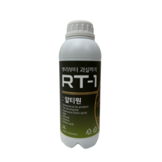 rg 덴드로비움